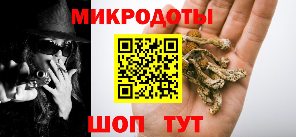 Псилоцибиновые грибы Psilocybe Первоуральск